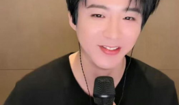 吃瓜娱乐圈刘宇宁,吃瓜娱乐圈，揭秘明星背后的故事